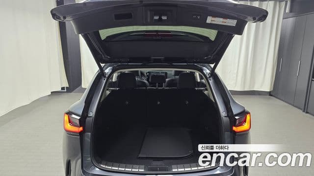 Lexus NX350h 2세대 Premium, 2023 20