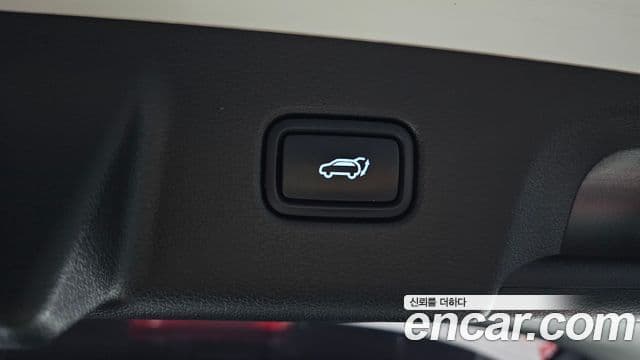 Hyundai Palisade Prestige, 2020 20