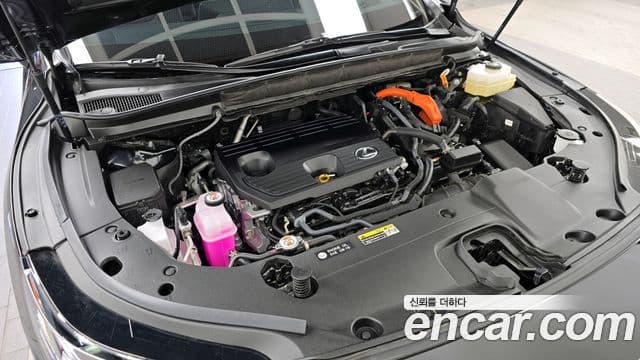 Lexus RX350h 5세대 Luxury, 2025 6