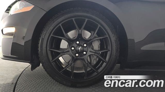 Ford Mustang купе, 2022 все фото