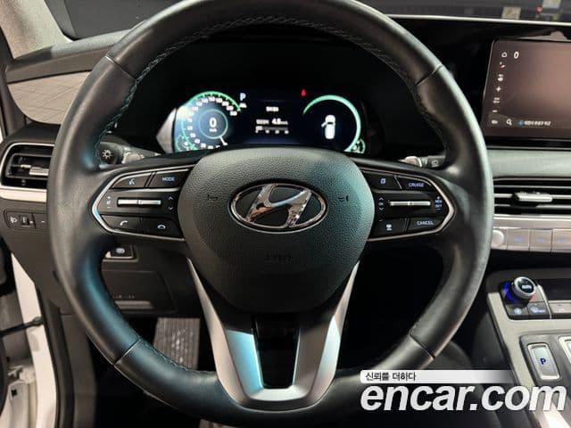 Hyundai Palisade Prestige, 2021 10