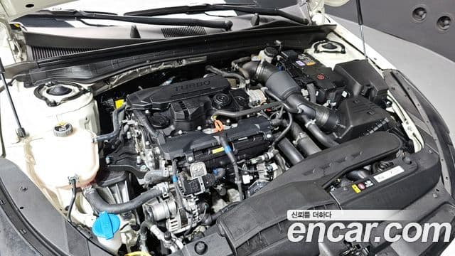 Kia The / новый New K5 3세대 Noblesse, 2024 6