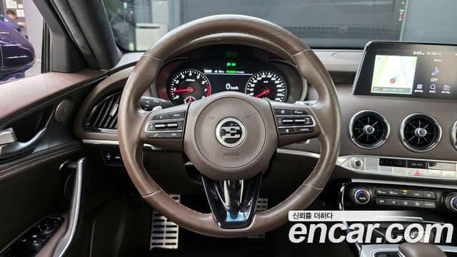 Kia 스팅어 Platinum, 2020 13