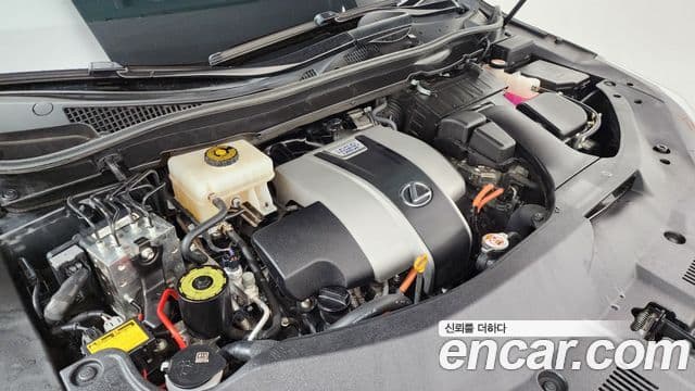 Lexus RX450h 4세대 Executive, 2021 6