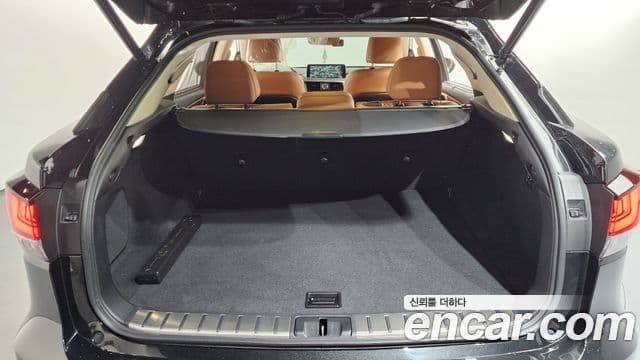 Lexus RX450h 4세대 Executive, 2021 20