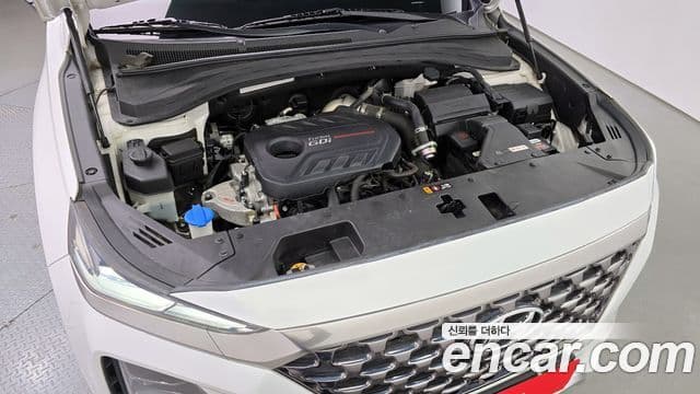 Hyundai Santa Fe TM Inspiration, 2019 6