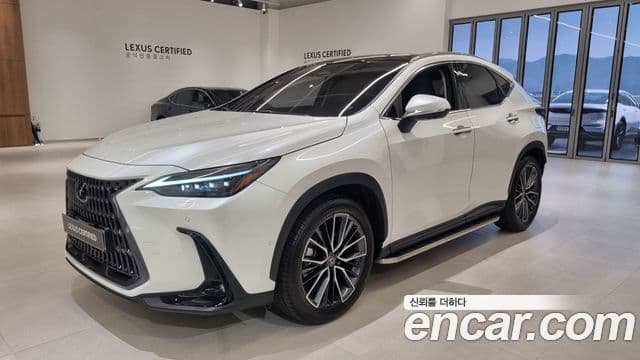 Lexus NX350h 2세대 Luxury, 2025 1