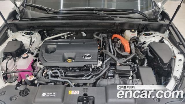 Lexus NX350h 2세대 Luxury, 2025 6