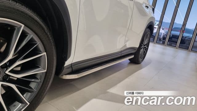 Lexus NX350h 2세대 Luxury, 2025 18