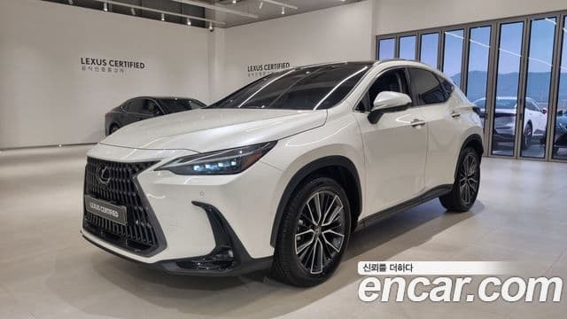 Lexus NX350h 2세대 Luxury, 2025 1