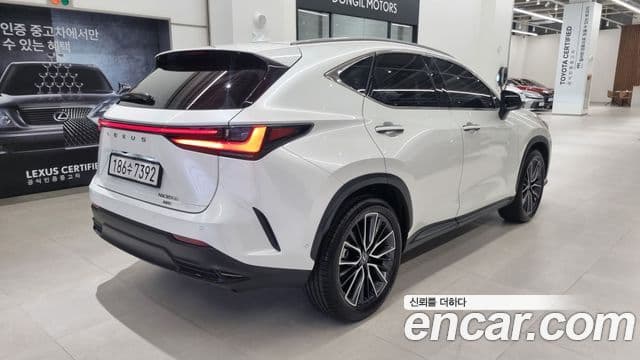 Lexus NX350h 2세대 Luxury, 2025 2