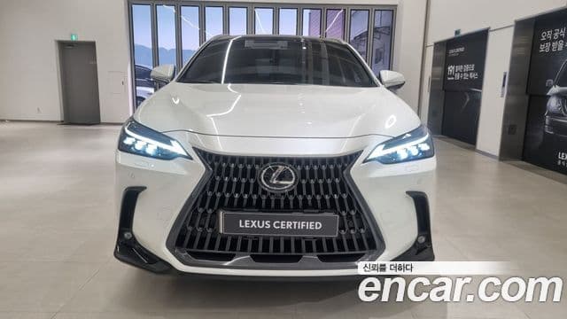 Lexus NX350h 2세대 Luxury, 2025 3