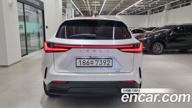 Lexus NX350h 2세대 Luxury, 2025 4