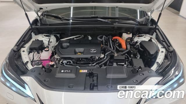 Lexus NX350h 2세대 Luxury, 2025 6