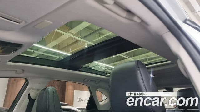 Lexus NX350h 2세대 Luxury, 2025 19