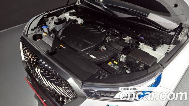 Hyundai Palisade Prestige, 2019 6