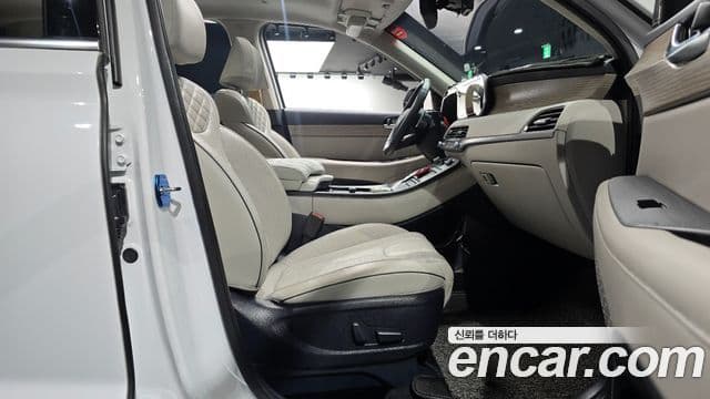 Hyundai Palisade Prestige, 2019 11
