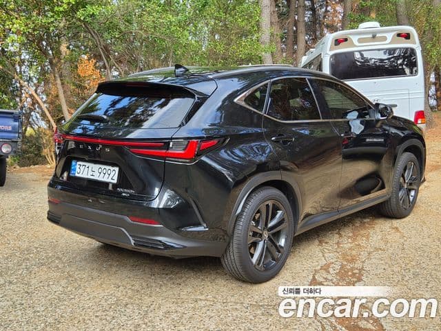 Lexus NX350h 2세대 Premium, 2025 2