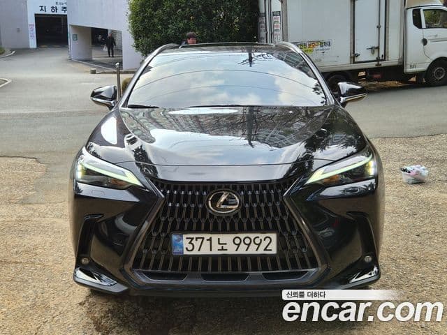 Lexus NX350h 2세대 Premium, 2025 3