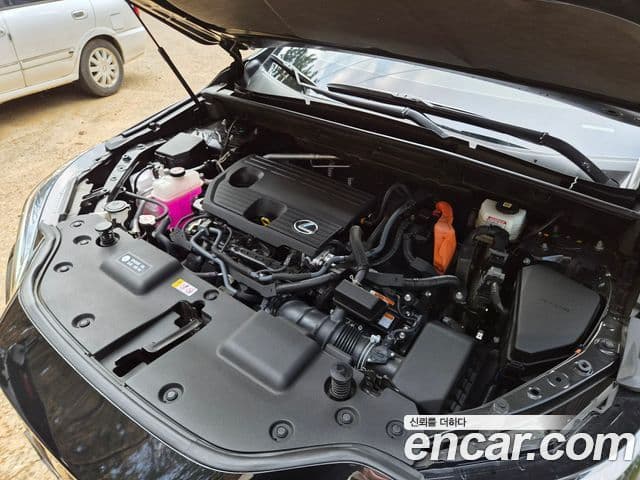 Lexus NX350h 2세대 Premium, 2025 6