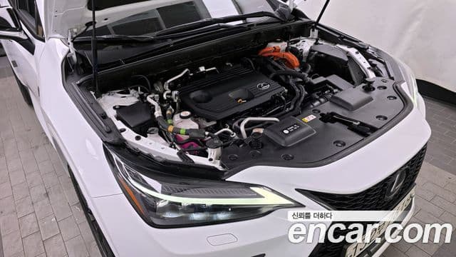 Lexus NX450h+ 2세대 F-Sport, 2023 6