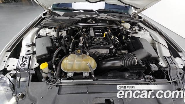 Ford Mustang кабриолет, 2019 6