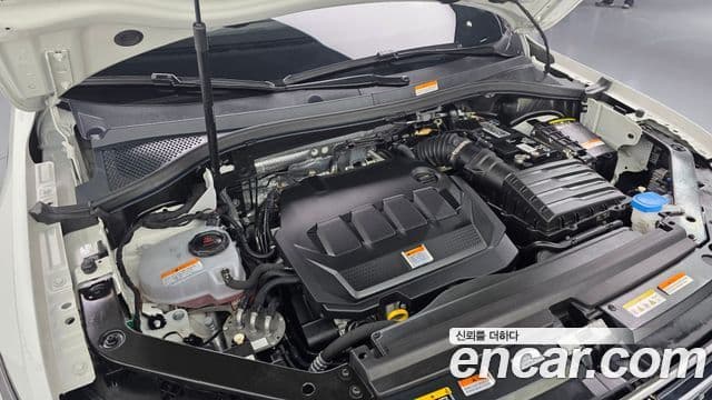 Volkswagen Tiguan 2세대 Prestige, 2022 6