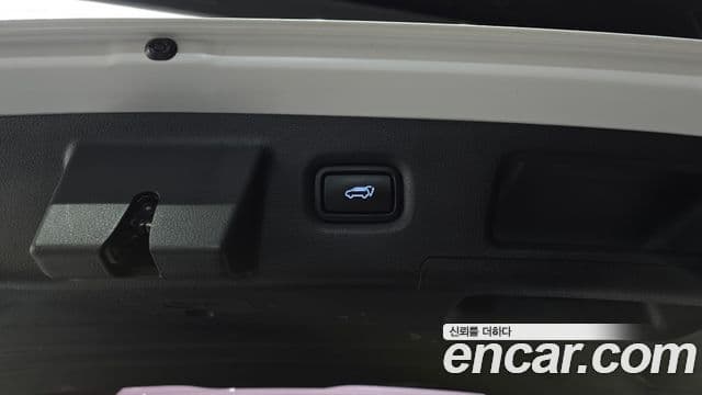 Hyundai Santa Fe TM Exclusive, 2020 20