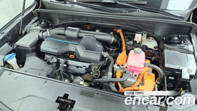 Kia Sorento 4세대 Noblesse, 2021 6