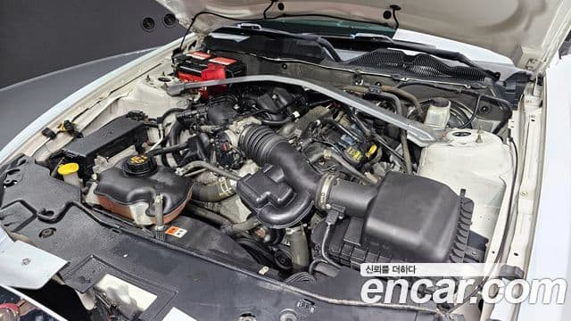 미쯔오까 가류, 2014 6