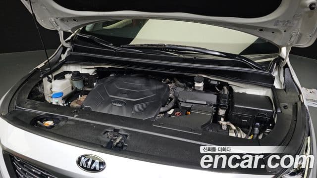 Kia The / новый New Carnival бензин 9인승 High Limousine(компания по спецнадстройкам), 2019 6