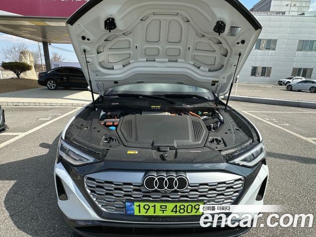 Audi Q8 e-Tron (GE), 2024 6