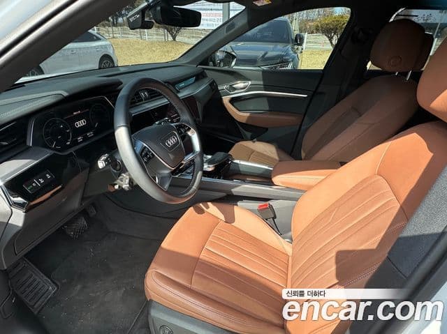 Audi Q8 e-Tron (GE), 2024 12