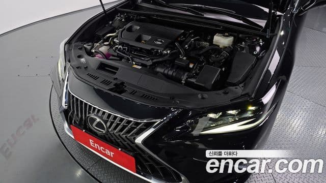 Lexus ES300h 7세대 Executive, 2023 6