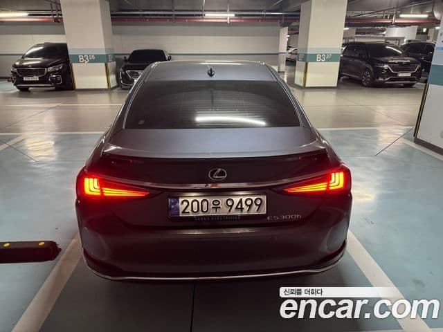 Lexus ES300h 7세대 Executive, 2025 4