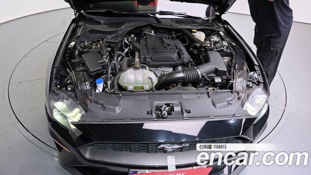 Ford Mustang кабриолет, 2023 6