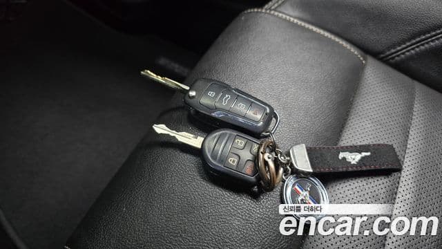 Ford Mustang купе, 2014 16