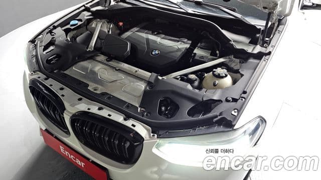 BMW X4 (G02) xDrive20i xLine, 2020 6