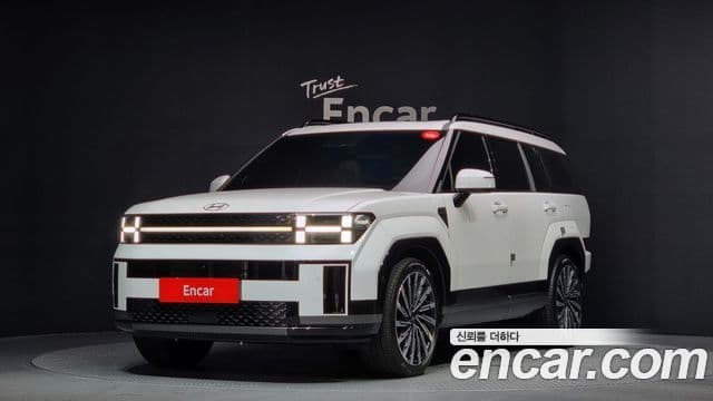 Hyundai Santa Fe (MX5) Calligraphy, 2024 1