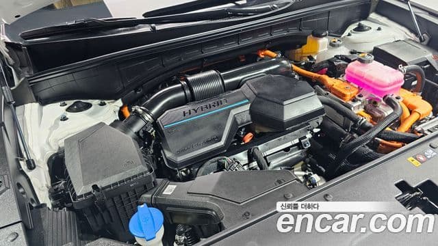 Kia Sorento 4세대 Gravity, 2023 6