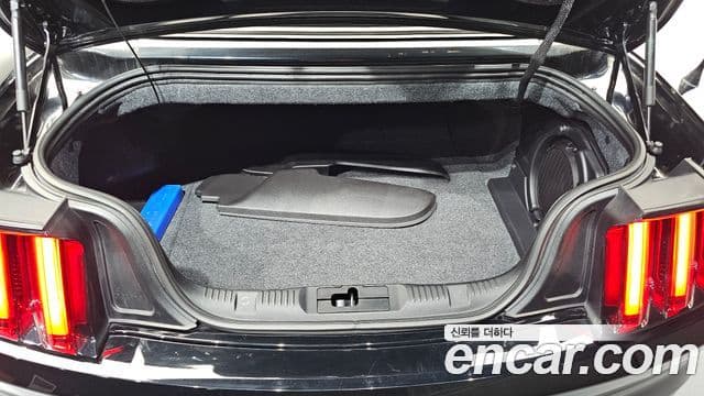 Ford Mustang GT кабриолет, 2017 20