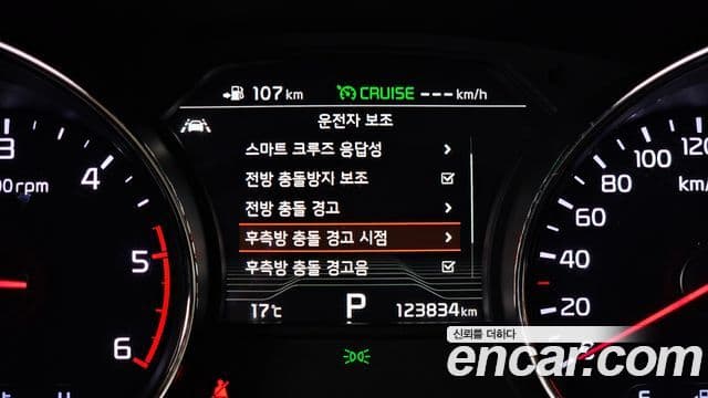 Kia The / новый New Carnival President, 2019 16