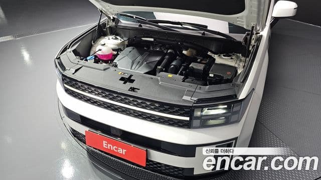 Hyundai Santa Fe (MX5) Calligraphy, 2024 6