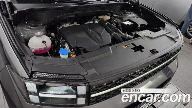 Hyundai Santa Fe (MX5) Calligraphy, 2024 6