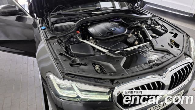 BMW 5시리즈 (G30) Luxury, 2021 6