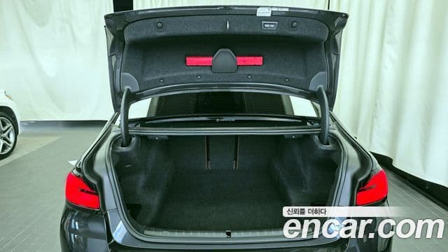 BMW 5시리즈 (G30) Luxury, 2021 20
