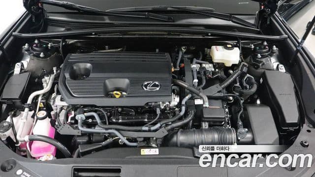 Lexus ES300h 7세대 Luxury Plus, 2026 6