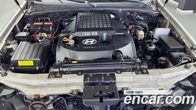 Hyundai 테라칸 топовая версия, 2003 6