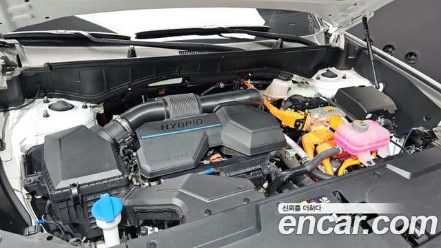 Hyundai Santa Fe (MX5) Calligraphy, 2024 6