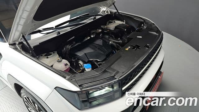 Hyundai Santa Fe (MX5) Calligraphy, 2024 6